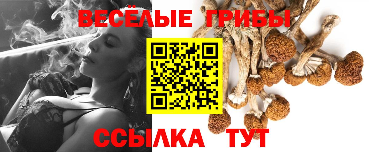 Хасавюрт  Галлюциногенные грибы мицелий  Псилоцибиновые грибы Psilocybine cubensis  Вход с VPN 