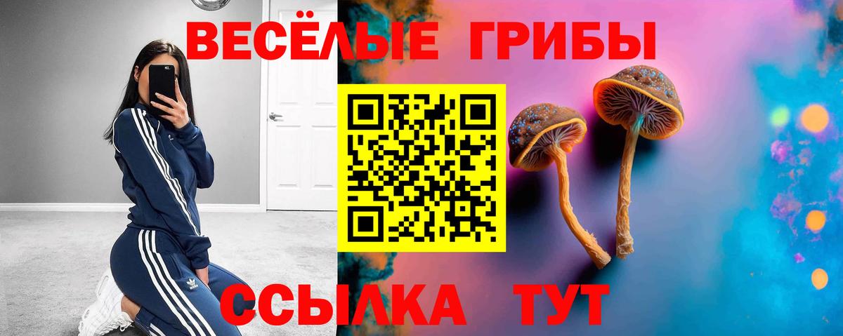КОКАИН  Вход с VPN  Меф кристаллы  LSD-25  Гашиш  Хасавюрт  ГАШ  Конопля  Alpha-PVP СК кристаллы 