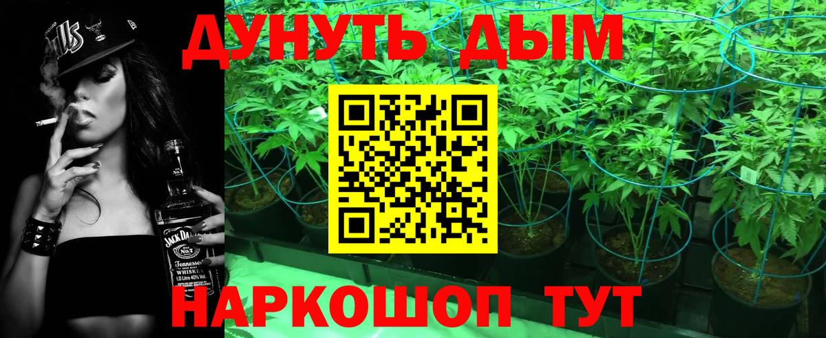 Каннабис Amnesia Хасавюрт